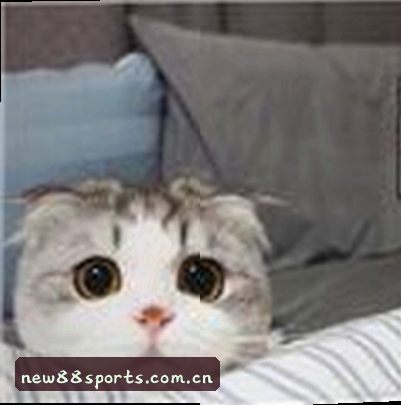 陈明